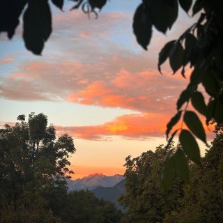 Guten Morgen aus dem Murnauer  SCHELLENWIES*****!