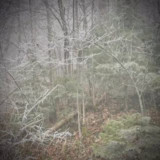 Feenreich Drachenstich …
Vor der Haustüre.
Zu Gast im SCHELLENWIES*****

#winterwalks 
#murnauermoos 
#auszeitfürdieseele 
#zeitfürmich 
#stillehören