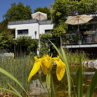 Genüsslich-entspannte Pfingsten allen Freunden, Gästen und sonstig Wohlgesonnen von nah und fern aus dem Haus @schellenwies im Murnau am Staffelsee!
#ferienwohnungen
#alpenblick
#murnauermoos
#auszeitvomalltag
#bergliebe