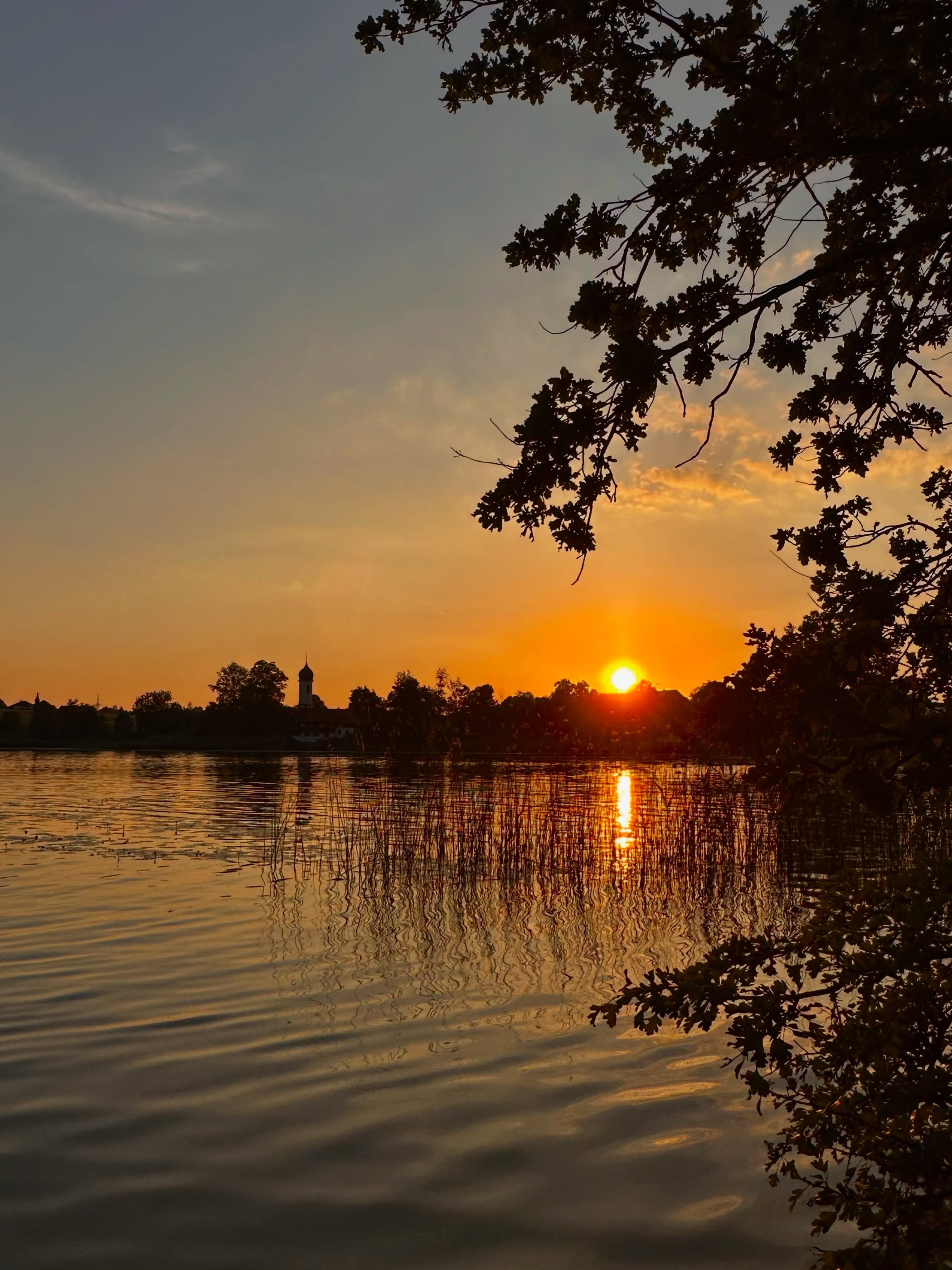 Wo kann man schon beim schwimmen dem Glockengeläut der Dorfkirche lauschen?
Wo die Zugspitze und das Estergebirge vom Wasser aus bestaunen? 
Wo einfach auf der Wiese am See liegen und den Sonnenuntergang erleben?
Am „Froschsee“ vor den Toren Murnaus!
Willkommen im SCHELLENWIES*****! 
So geht Urlaub im Blauen Land …