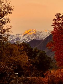 Blick ausm SCHELLENWIES 2:
Und an diesem Morgen wachst Du auf, schaust ausm Fenster oder trittst auf die Terrasse - und erlebst diesen magischen Moment. Die Albspitze im Morgenlicht kurz nach Sonnenaufgang.
Das berührt und bliebt im Herzen.
So entstehen Utlaubserinnerungen, die durch den Alltag tragen.
Dieser winzige Moment der ganz persönlichen Zwiesprache mit großer Natur, den erleben meine Gäste des SCHELLENWIES und kommen Jahr für Jahr wieder an den Alpenrand nach Murnau am Staffelsee …