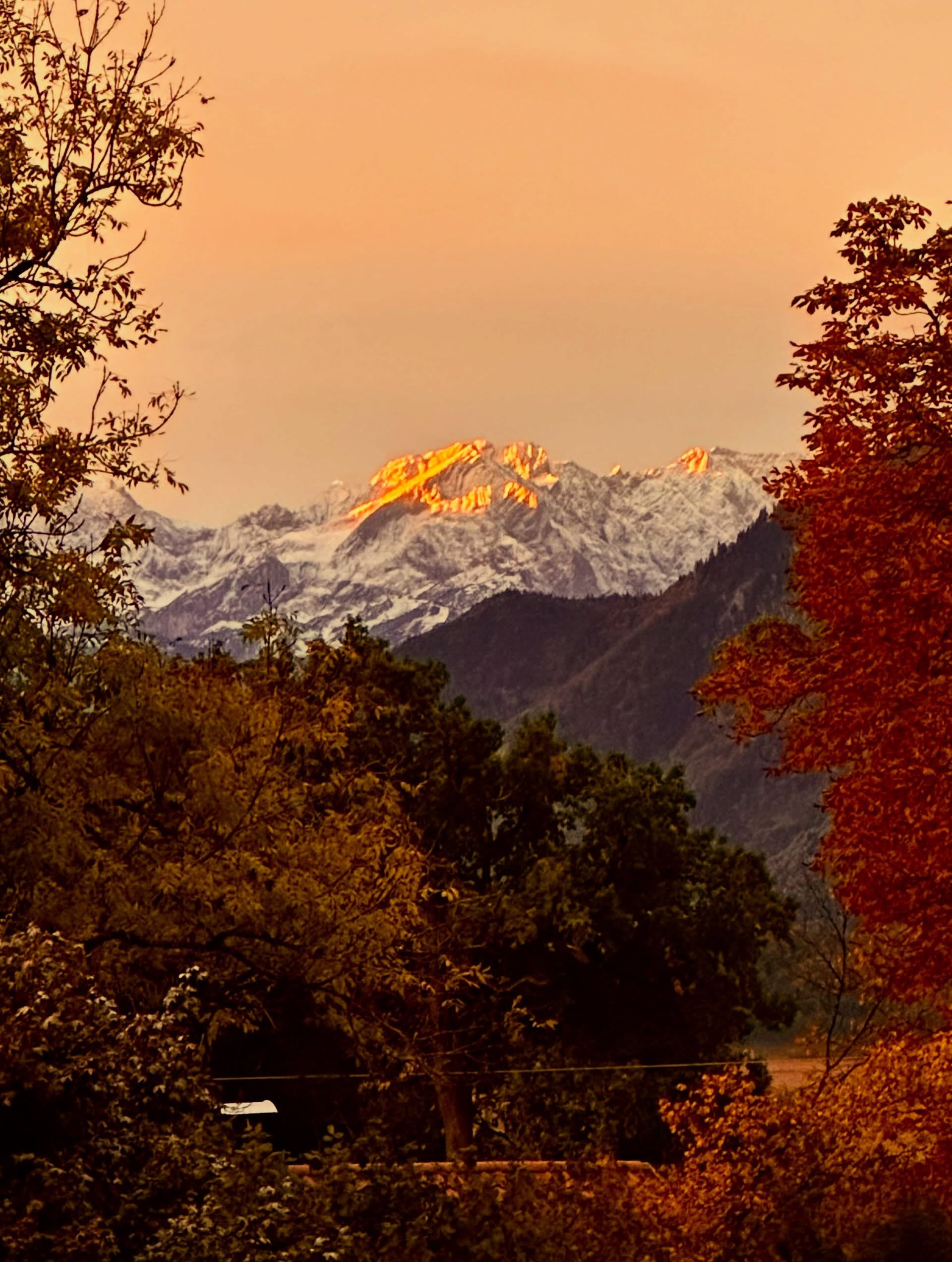 Blick ausm SCHELLENWIES 2:
Und an diesem Morgen wachst Du auf, schaust ausm Fenster oder trittst auf die Terrasse - und erlebst diesen magischen Moment. Die Albspitze im Morgenlicht kurz nach Sonnenaufgang.
Das berührt und bliebt im Herzen.
So entstehen Utlaubserinnerungen, die durch den Alltag tragen.
Dieser winzige Moment der ganz persönlichen Zwiesprache mit großer Natur, den erleben meine Gäste des SCHELLENWIES und kommen Jahr für Jahr wieder an den Alpenrand nach Murnau am Staffelsee …